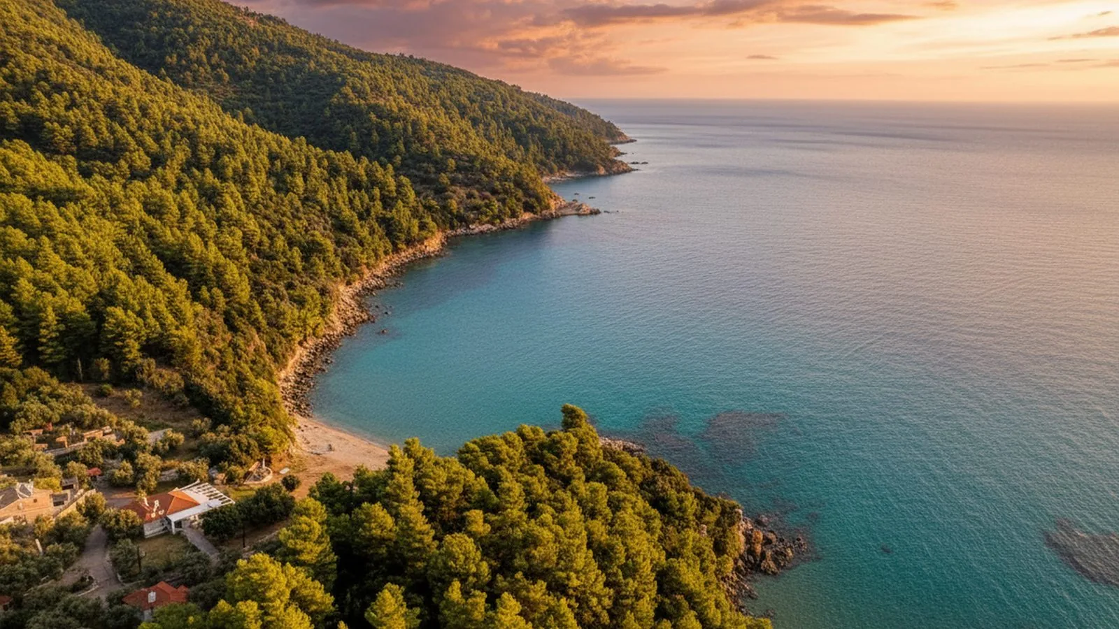 La costa della Messenia con la pineta che scende verso il mare